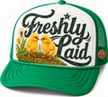 Freshly Laid